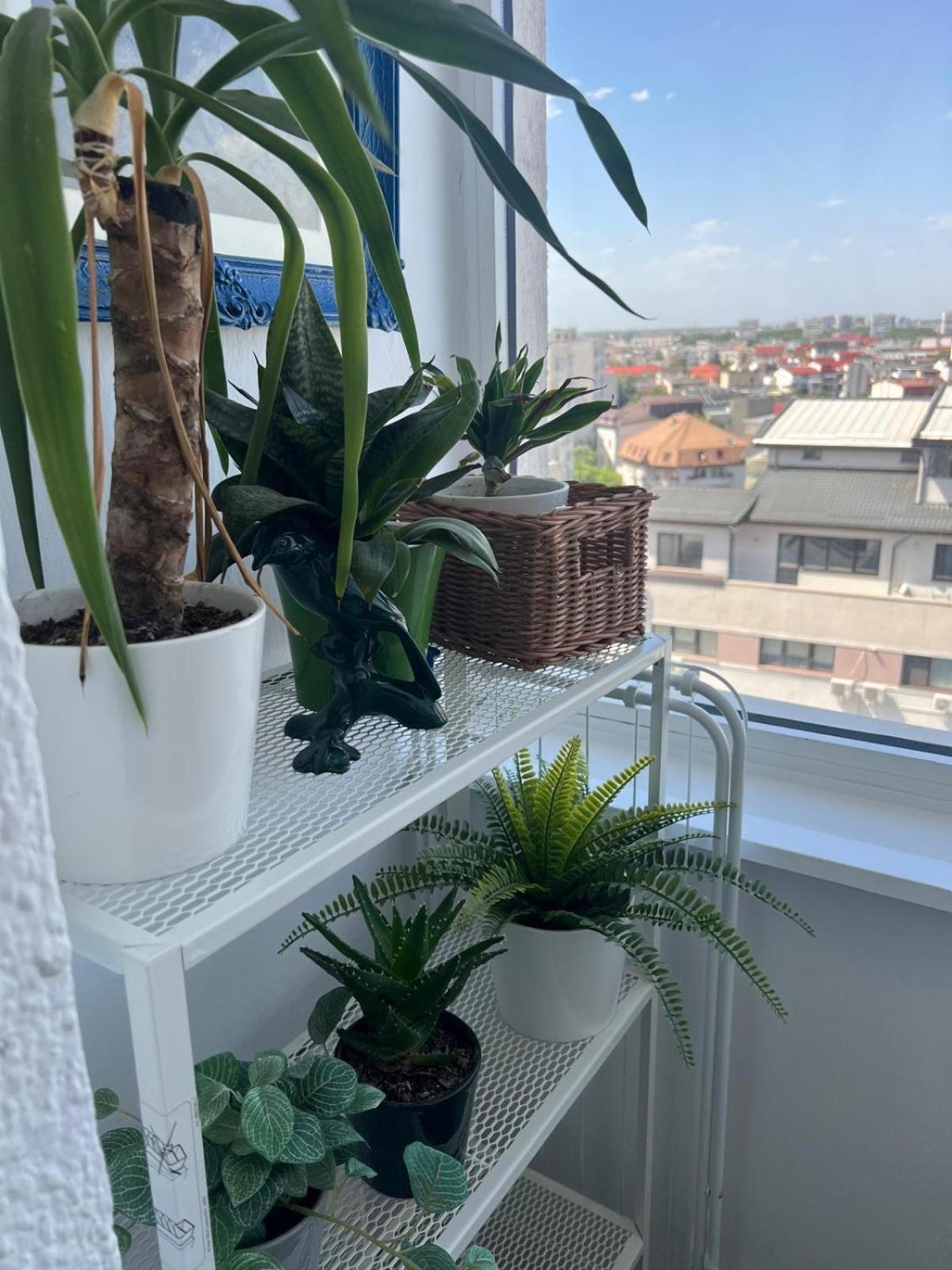 1Bdr Apartment Perla 225 Bukarest Exteriör bild